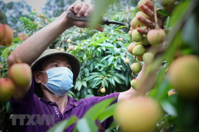 Tổng Kết Về Ngày 6/4