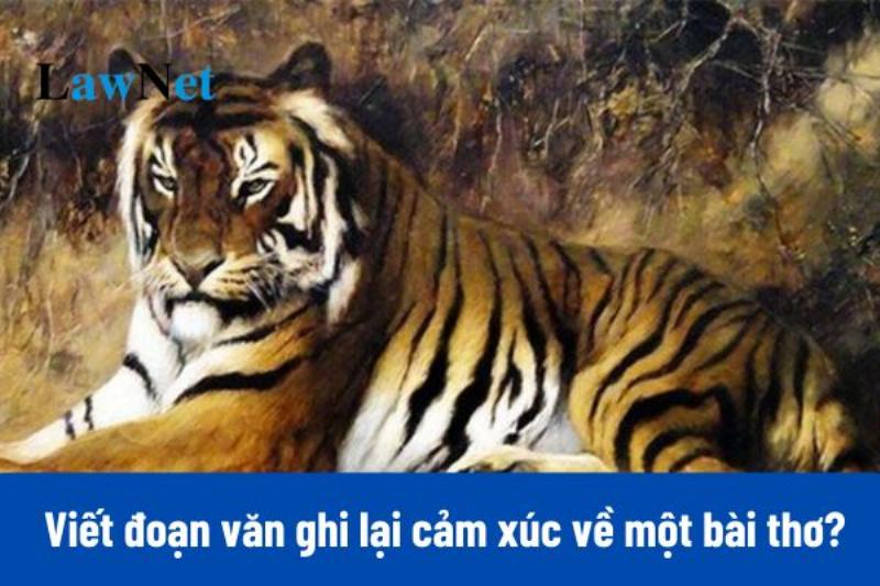 Trau chuốt câu chữ trong đoạn văn tình cảm