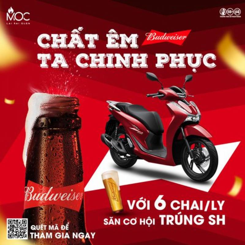 Bia Budweiser và Cung Mệnh Mộc