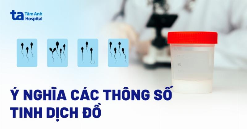 Cung Mệnh Ảnh Hưởng Vận Tốc Trung Bình