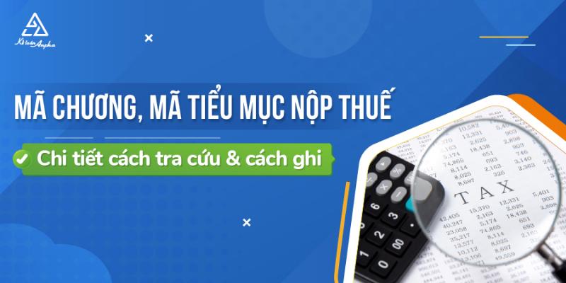 Mã Chương Mã Tiểu Mục Nộp Thuế Môn Bài: Khái Niệm