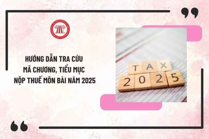 Mã Chương Mã Tiểu Mục Nộp Thuế Môn Bài: Tra Cứu