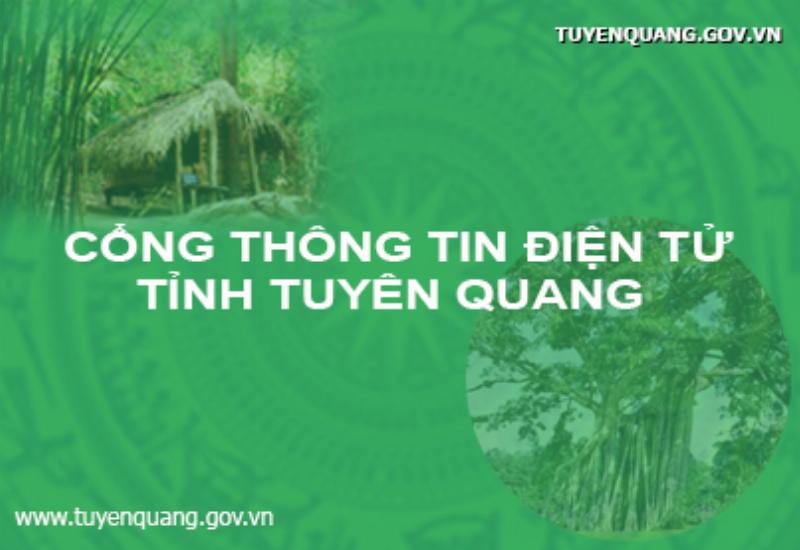 Tử Vi Ngày Mùng 8 Tháng 3: Khái Quát Chung