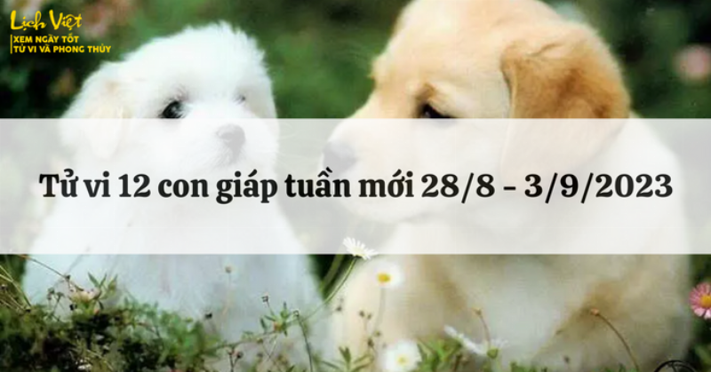 Ứng Dụng Tử Vi 8/3