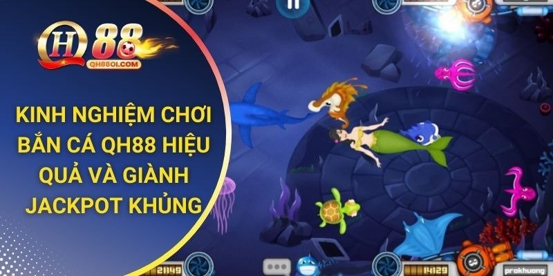 Kinh nghiệm chơi bắn cá hiệu quả, giành Jackpot khủng tại QH88