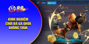 Kinh nghiệm chơi đá gà QH88 không thua